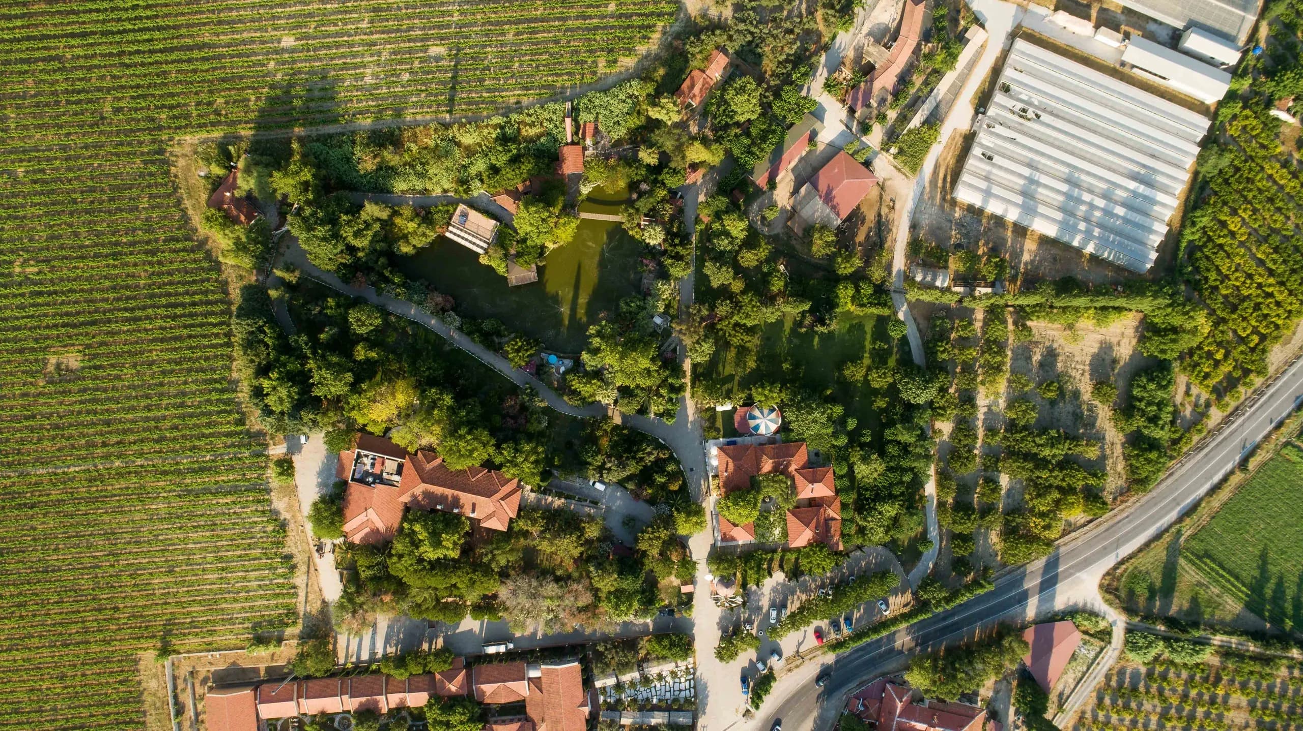 Bu süreçte yerel ekoloji bilgisine sahip çıkmanın karşılığını bir çiftlik işletmesi olarak alabildiniz mi? Bilinçlenen bir tüketici varsa, burada pozitif bir trendden bahsetmek mümkün mü?